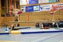 show (15)